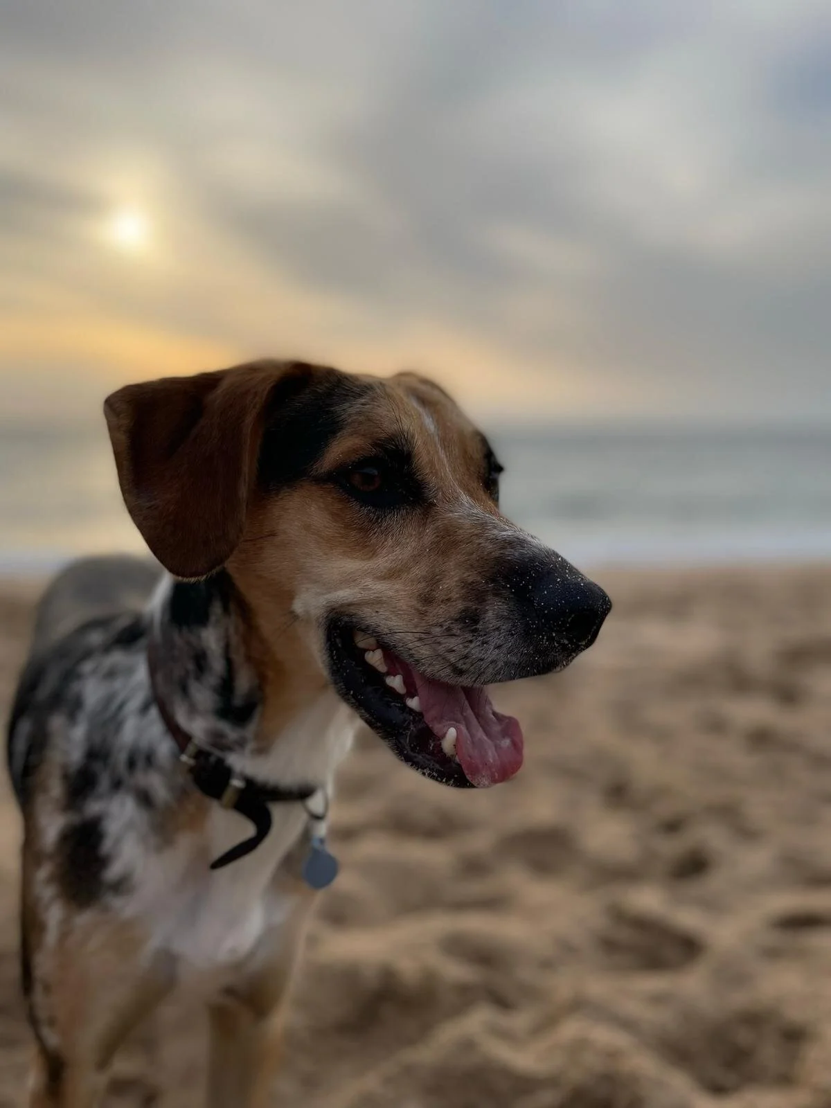 8836B1D7-CA72-4AF7-B5C9-2D29F006BDD9