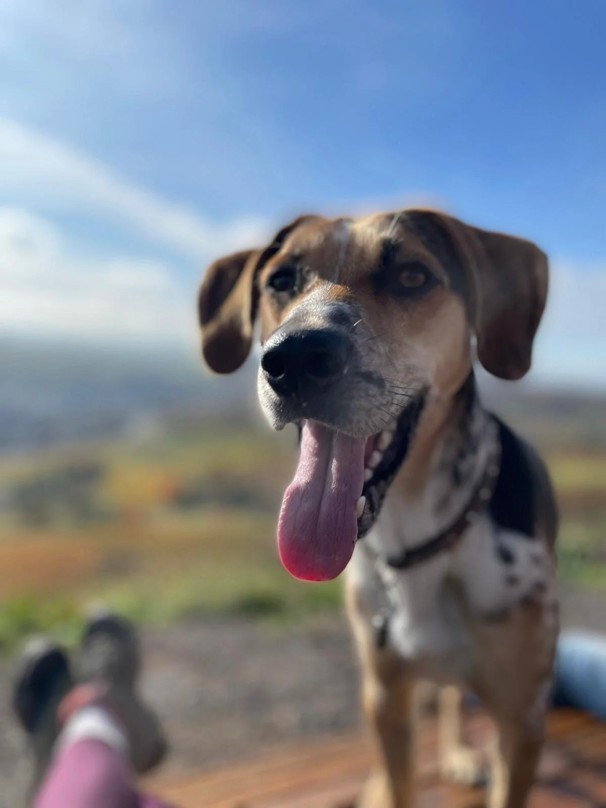 685EB670-2828-4183-A34E-3346572BED89