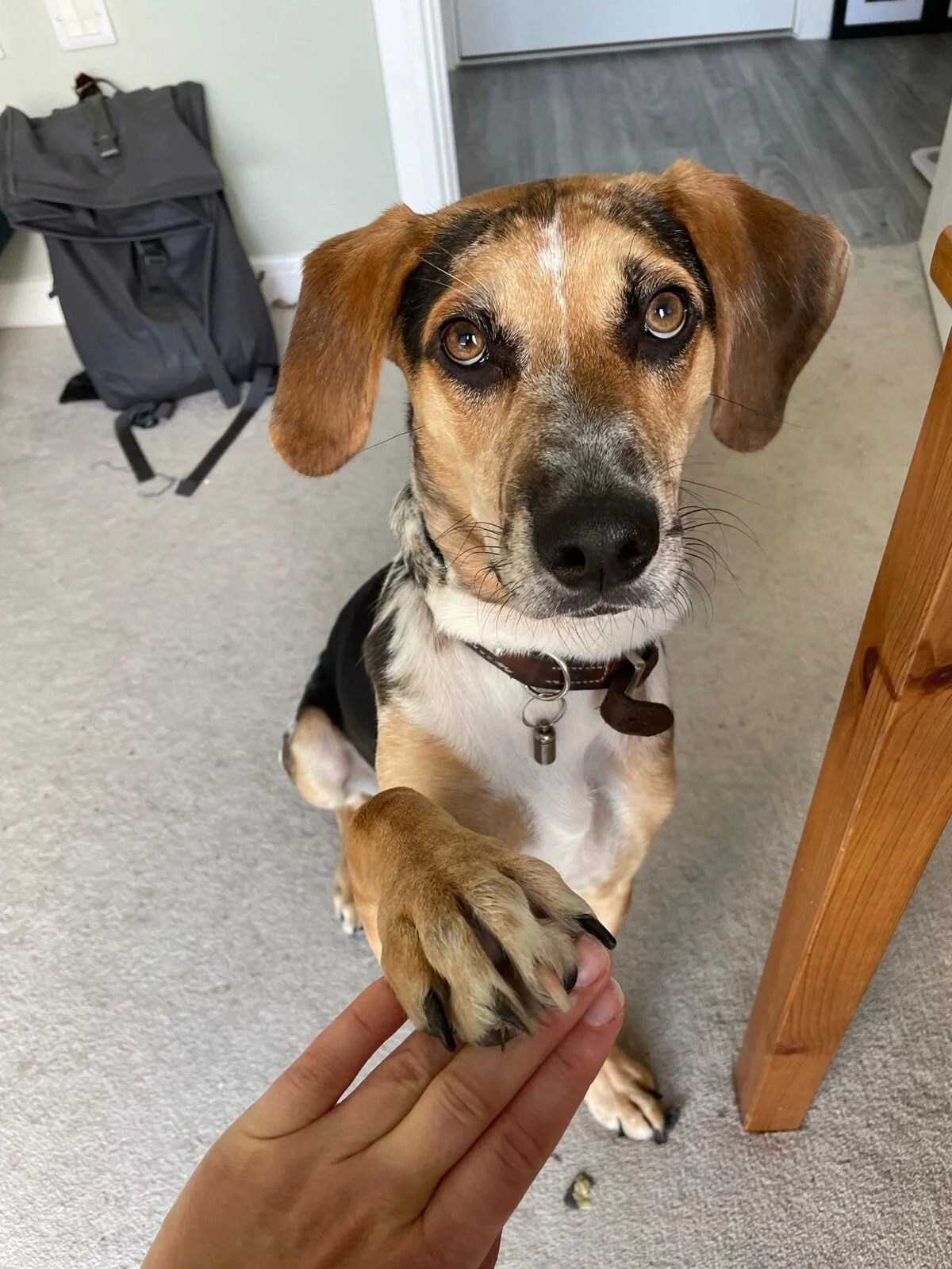 B47B0DAC-58C8-490D-BDDE-C7924E66BFB1