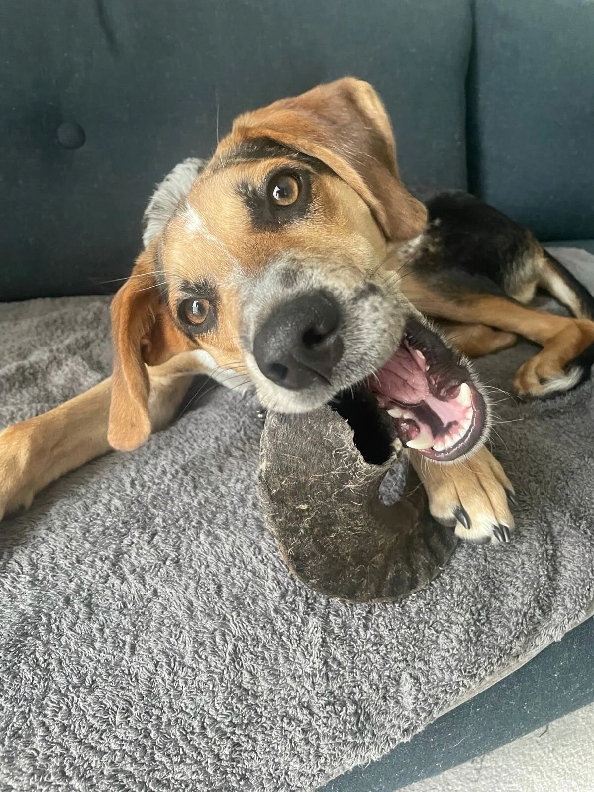 E0D1EE95-3FDF-455D-A818-5E1F543BA25D