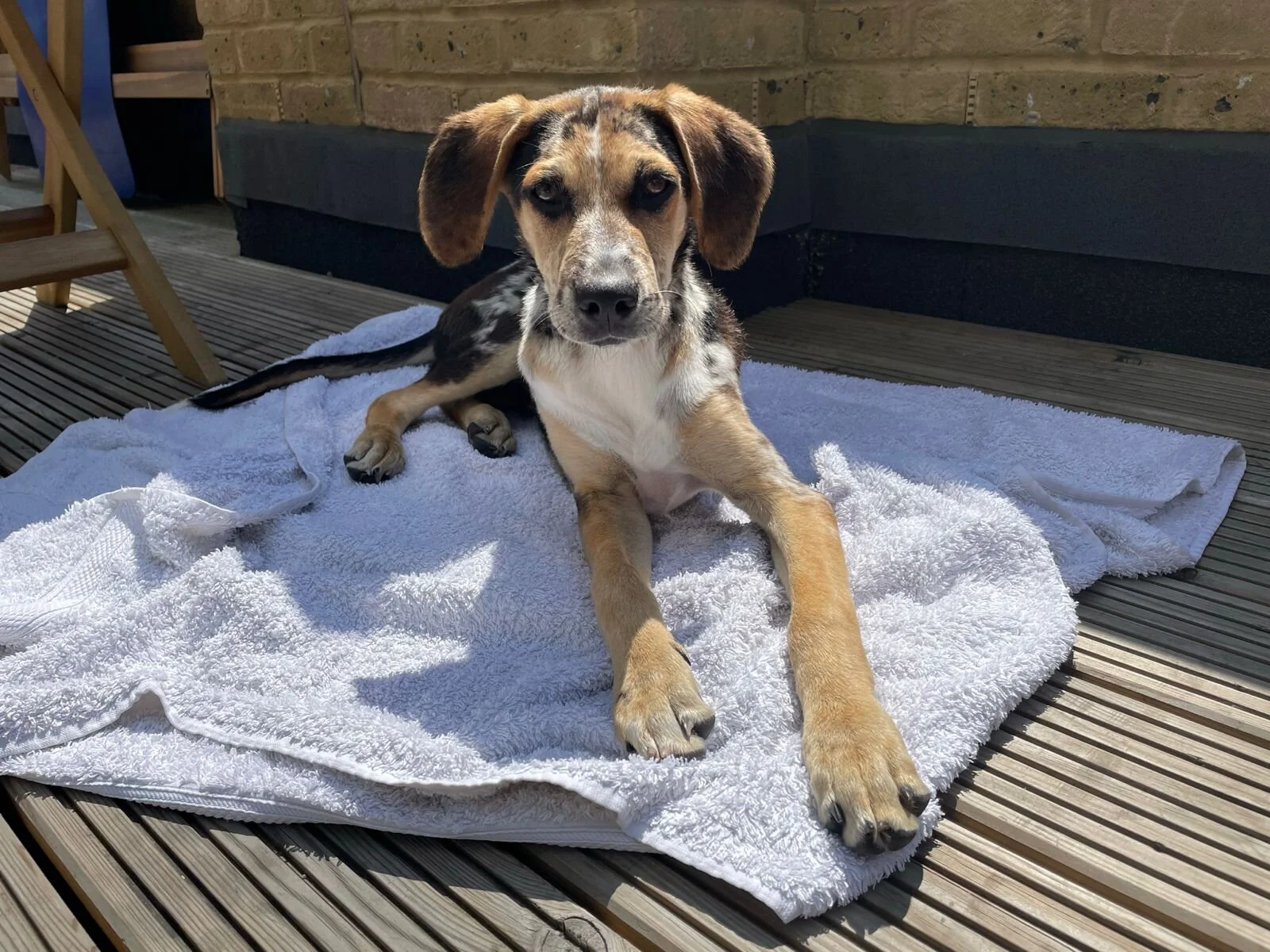 0C93A9F7-C797-4721-92F3-8871541A024E