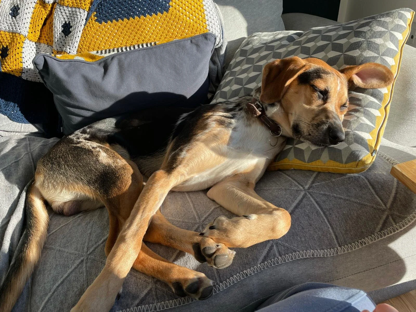 20E23210-14A9-418C-9828-B7E842AD060E