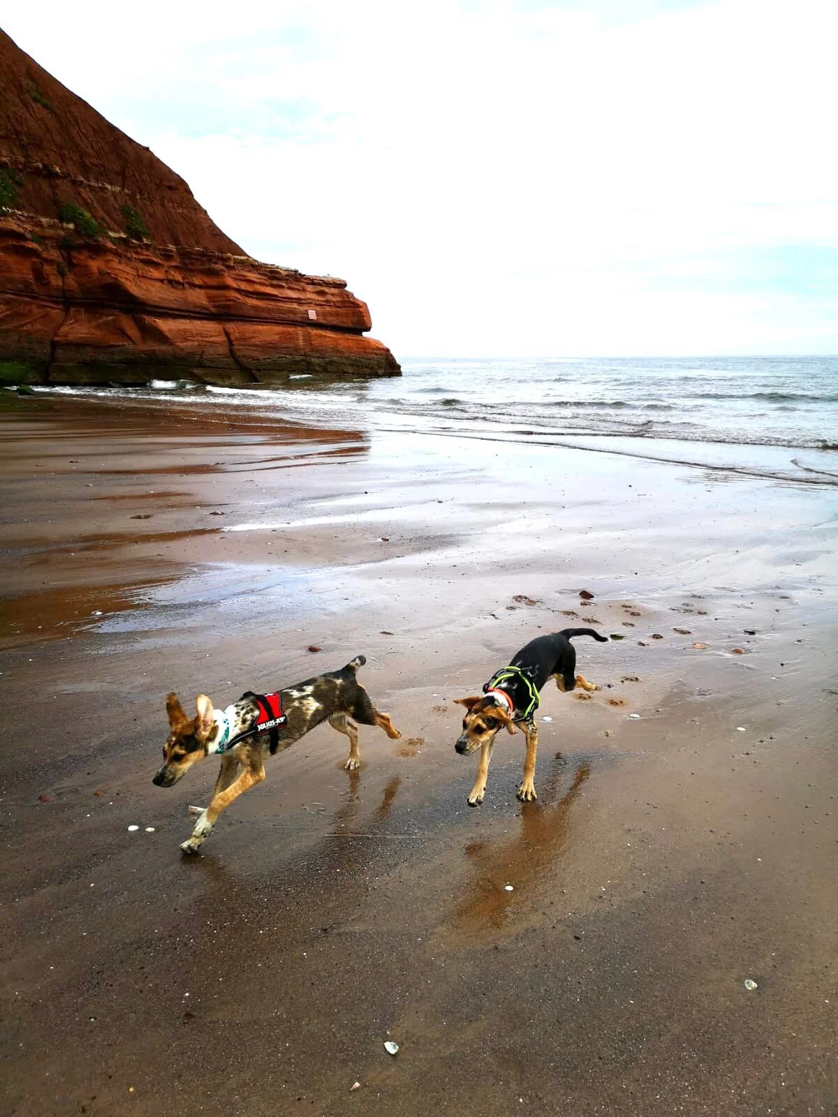 A1FC8529-87D4-45E1-9CBA-E8E2C7156103