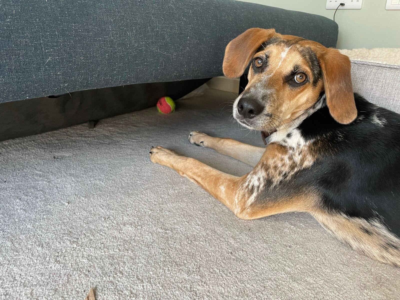 9694E38D-E103-4A68-967F-0A8DD69C34B0