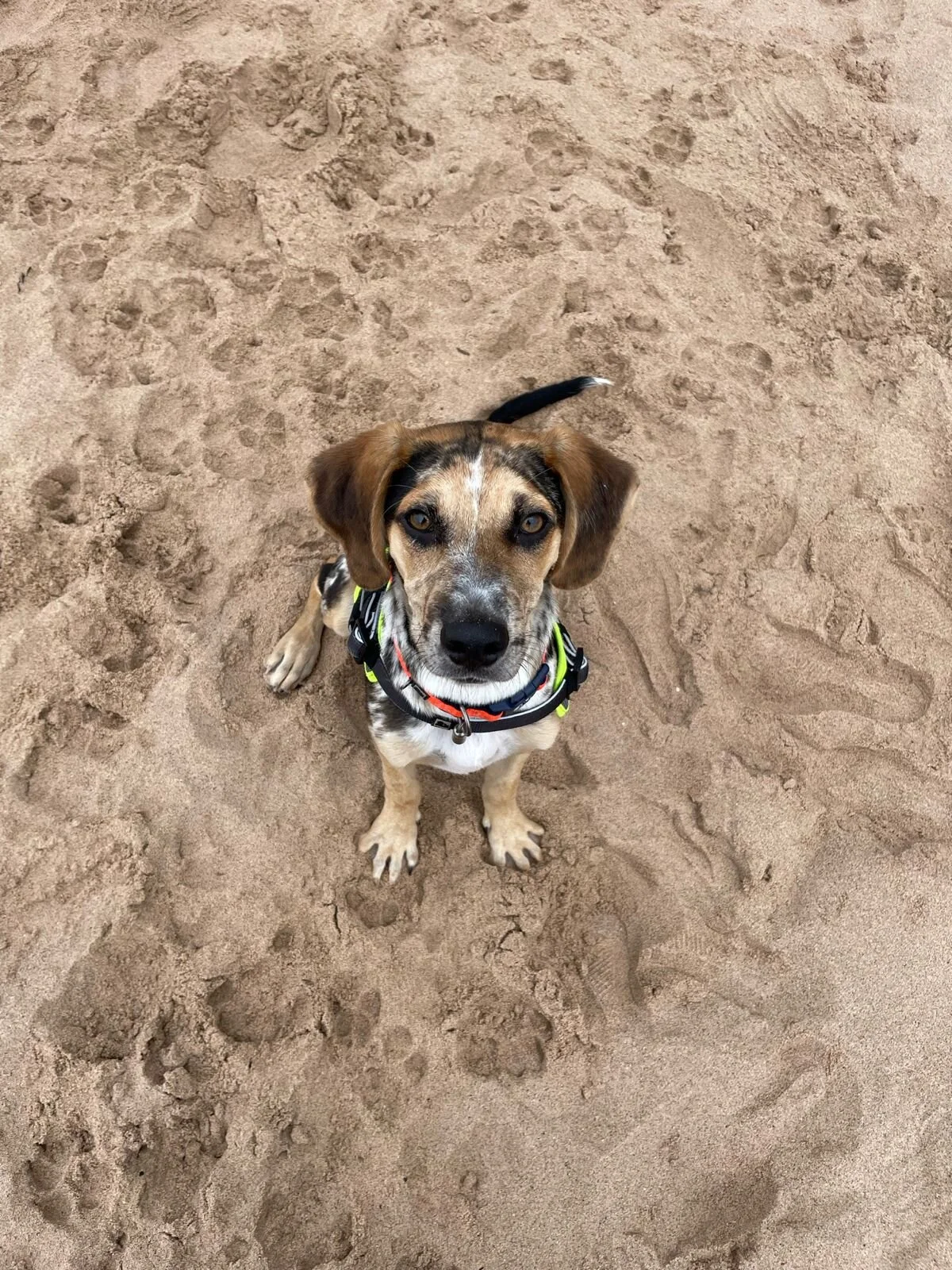 5339B956-AD6A-4915-A093-AA9ED24FCFF9