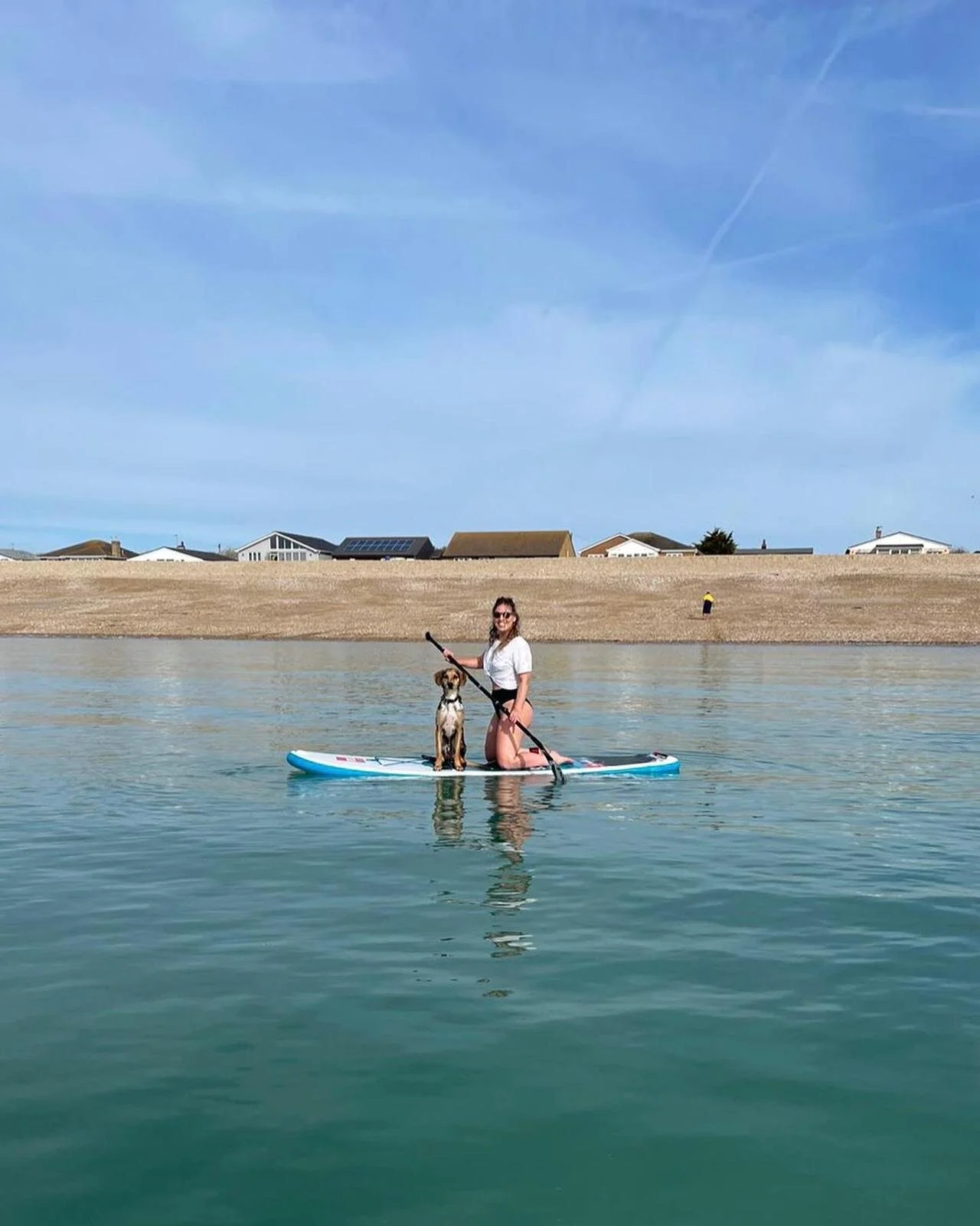 8F46E77F-44B2-4563-8E0E-3C8518AB2EC6