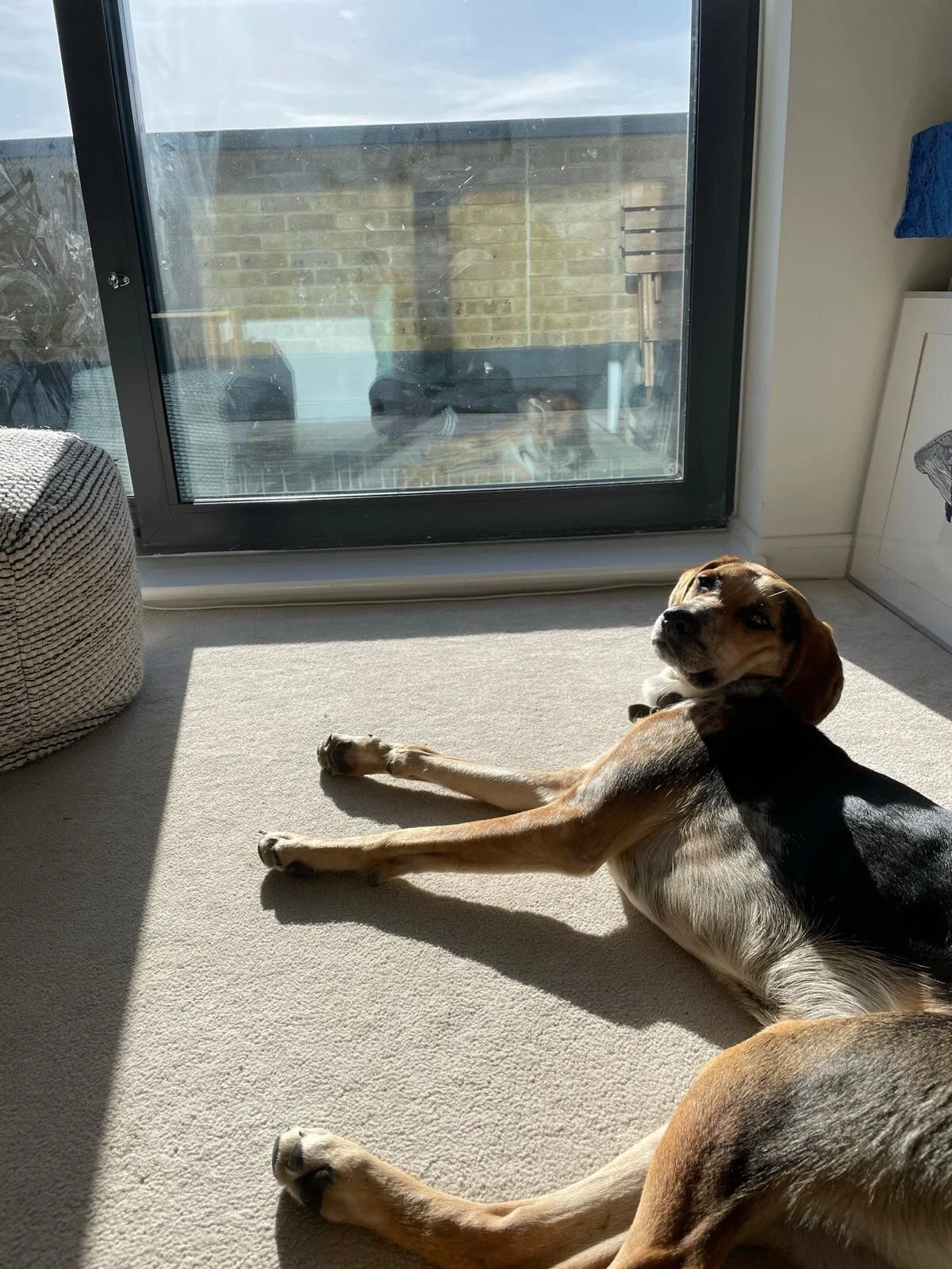 F83E63A7-3D8B-4284-AECC-3A6A605AA458