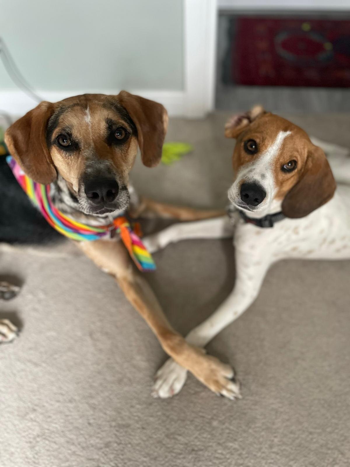 2E4C9AD7-0B42-47A7-9DB2-C4ECF7B68DE7