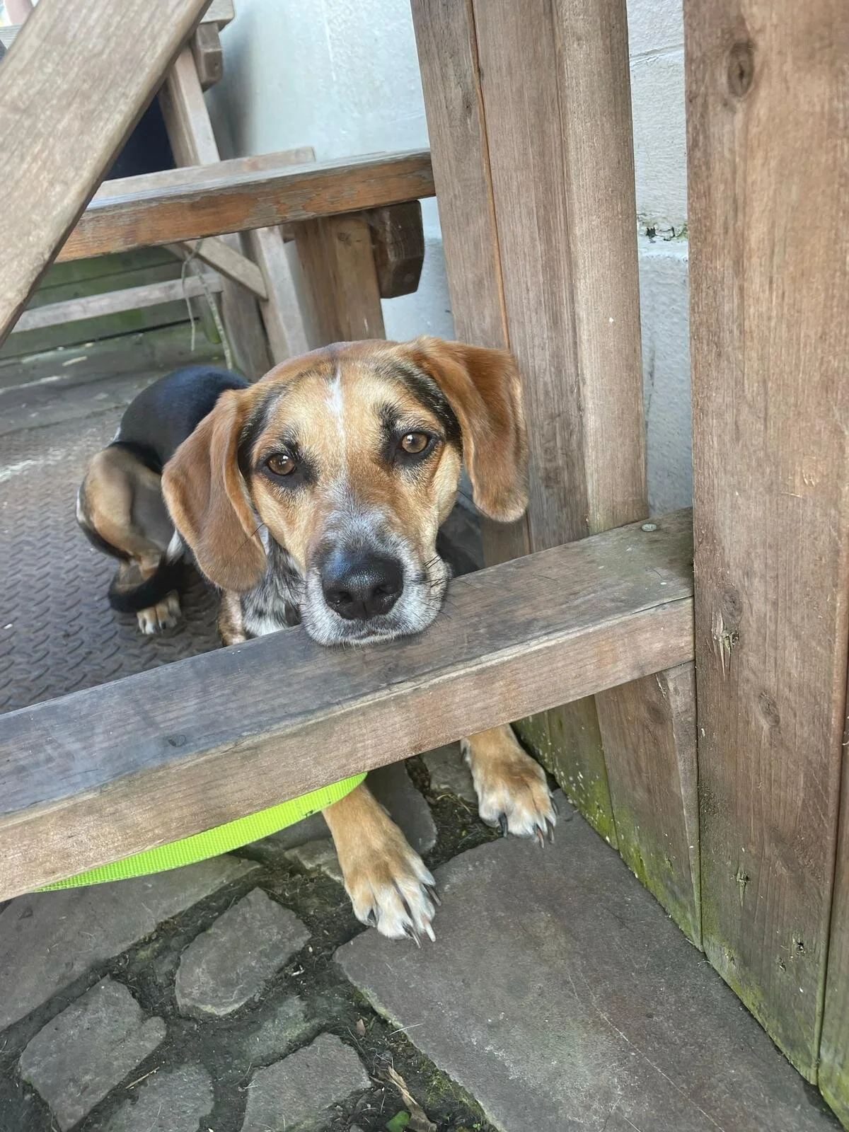 A68C07CE-77F6-4C1B-BCC1-28FF5F62C3B8