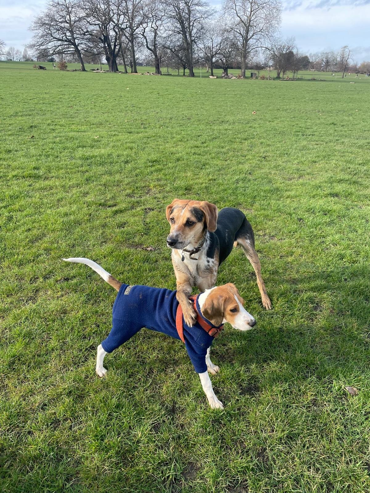 82ECEDEC-90D7-4EF5-B830-7F24572AD81B