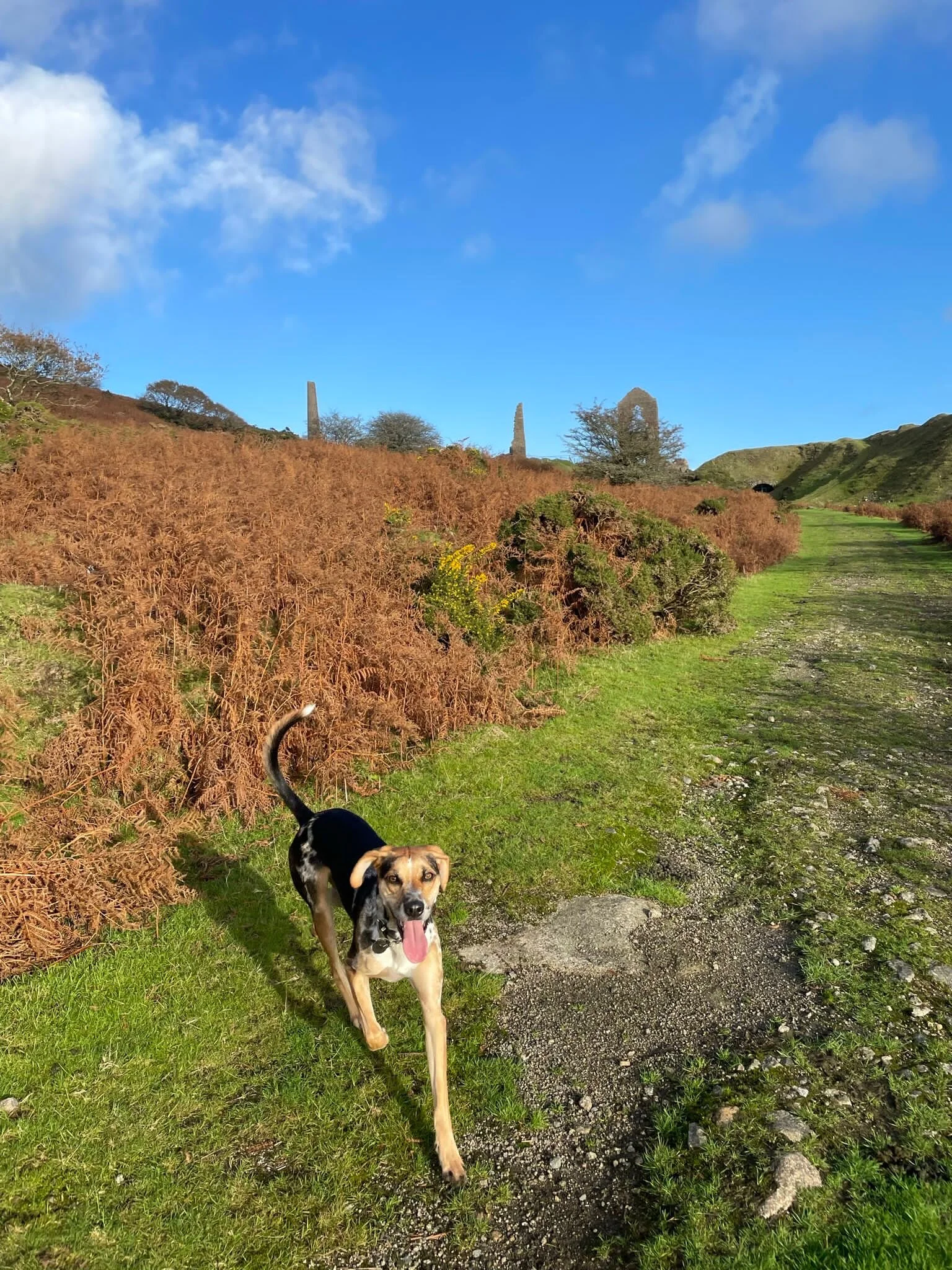 CAA6A0A6-F809-4D12-A769-5BA1B9B8A7E2