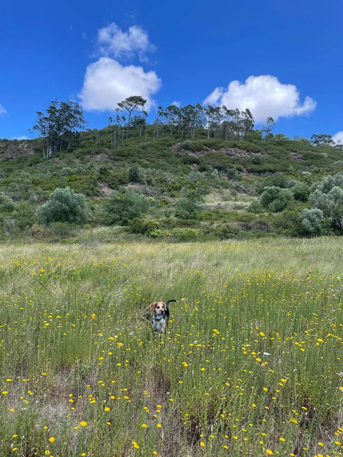 1D09CAA6-CD08-4700-9CD5-0E87B7227039