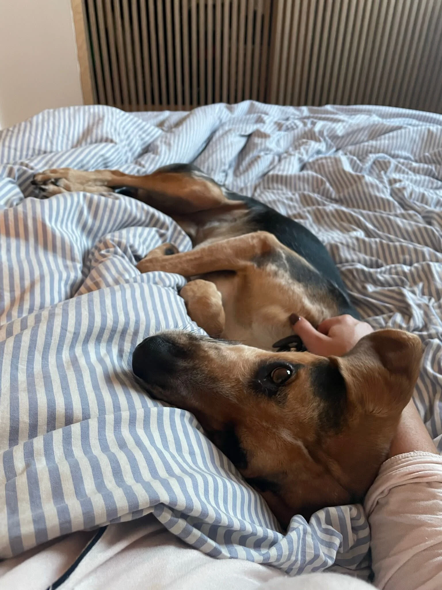 45E9DF69-154B-4791-A980-C4BEDCE19210