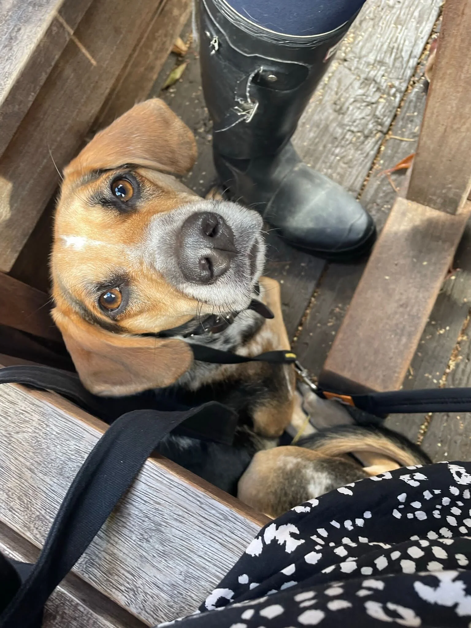 CBBBE9DD-8F61-427F-8C0F-DA9E7D1F1601