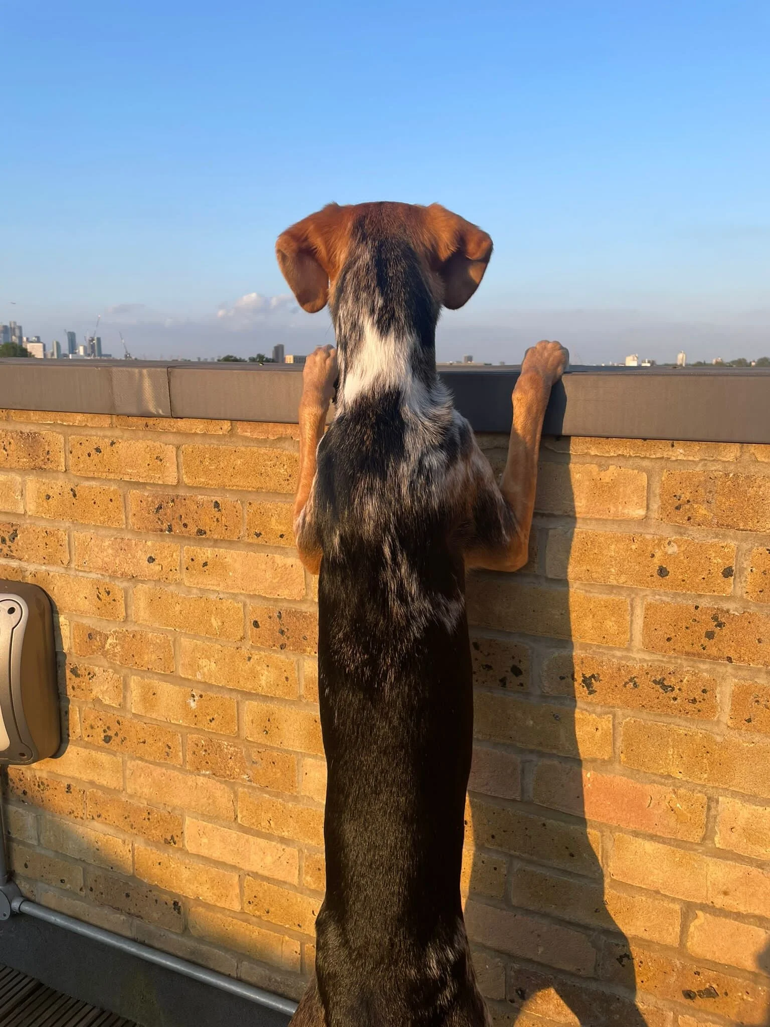 9CC703B2-4763-4BEC-8C74-4F43BA502F6B