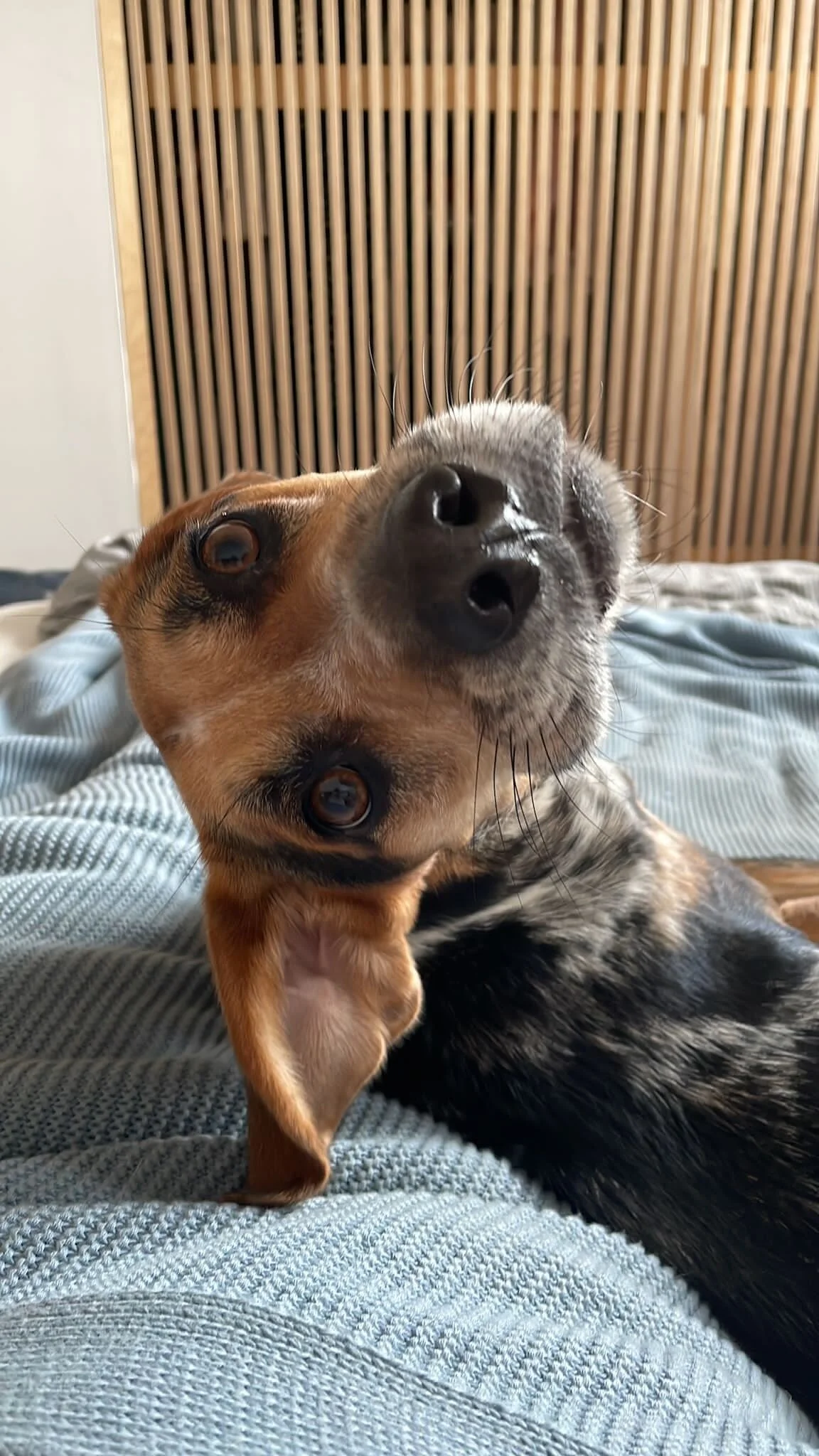 797F6DF7-35FB-4BD9-9137-F274F5EA19A2