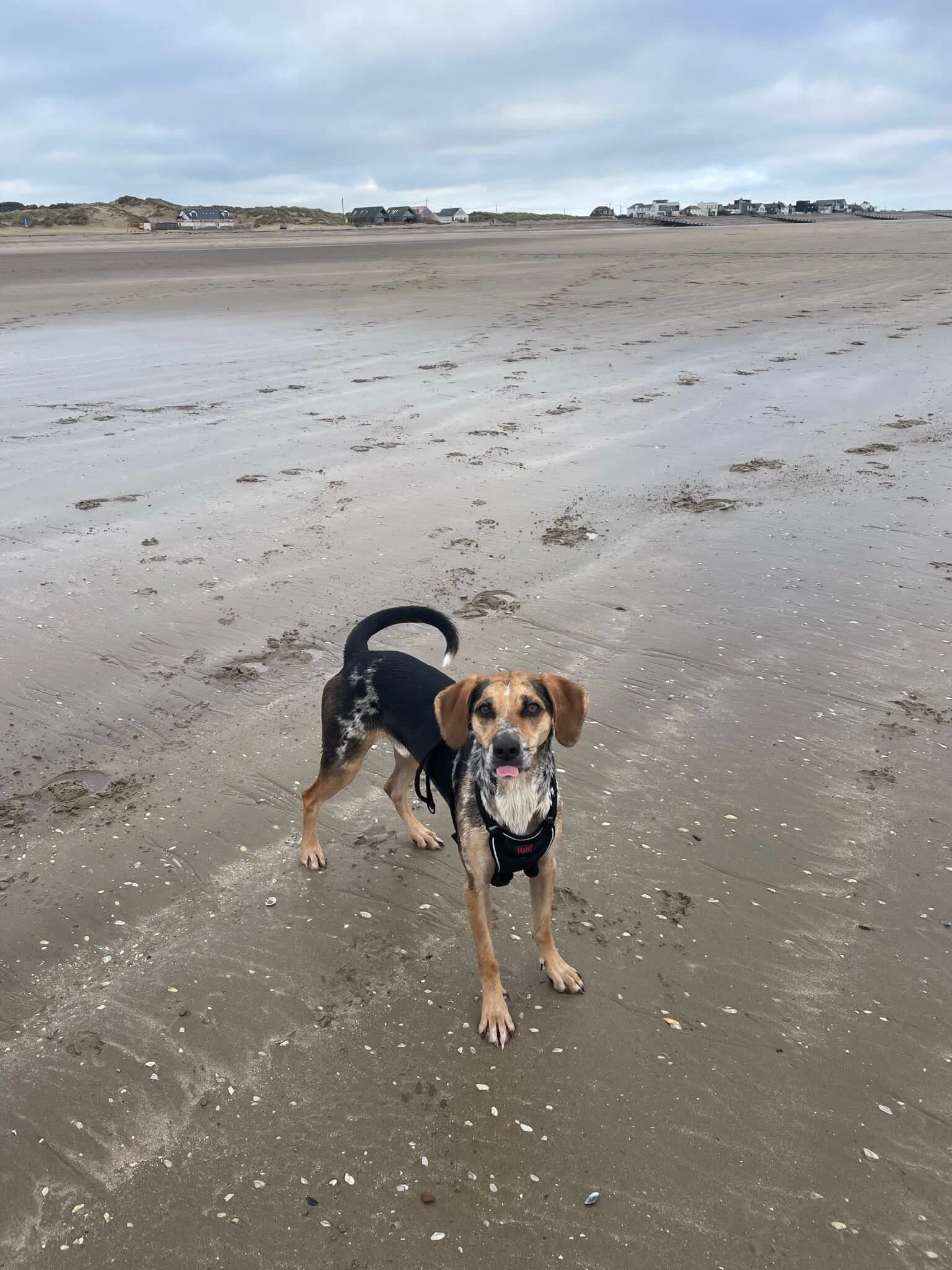 80FD81A3-E223-4776-9F2A-39FA3F5167D1