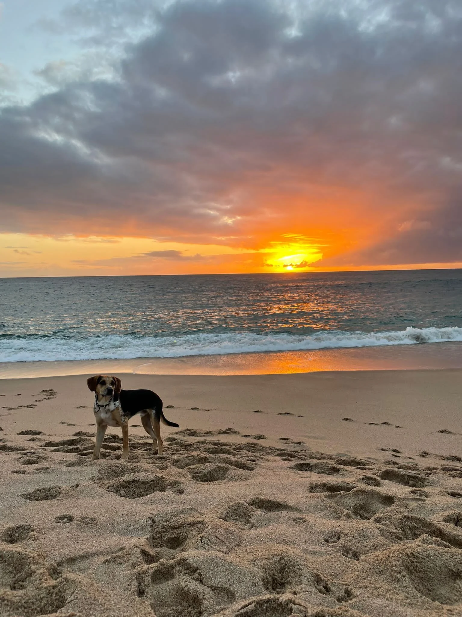 F470877A-1932-4781-BB79-338A9BB0912F