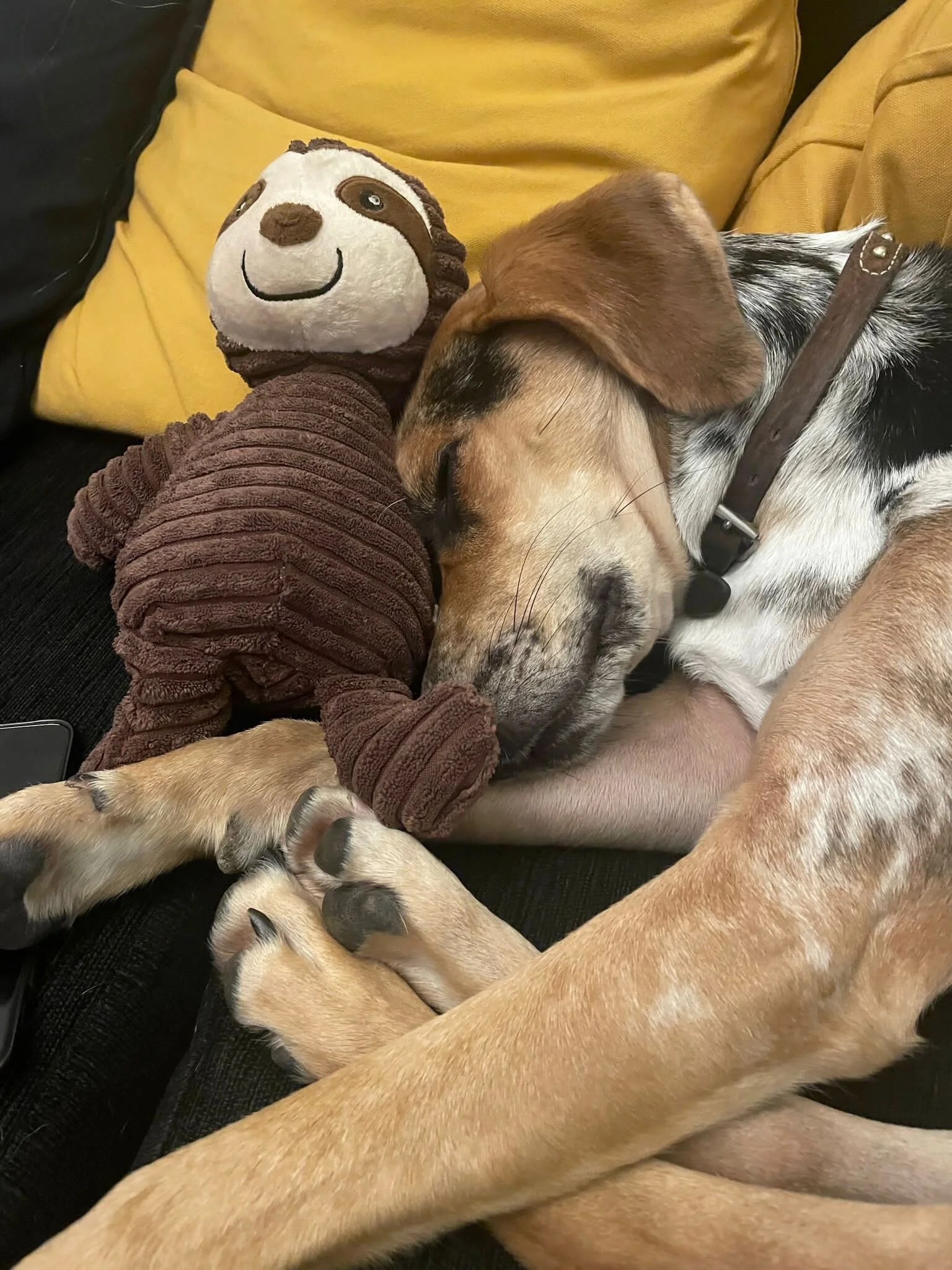 97C8C45D-3BBF-4068-A3FB-83C7BBEC185D