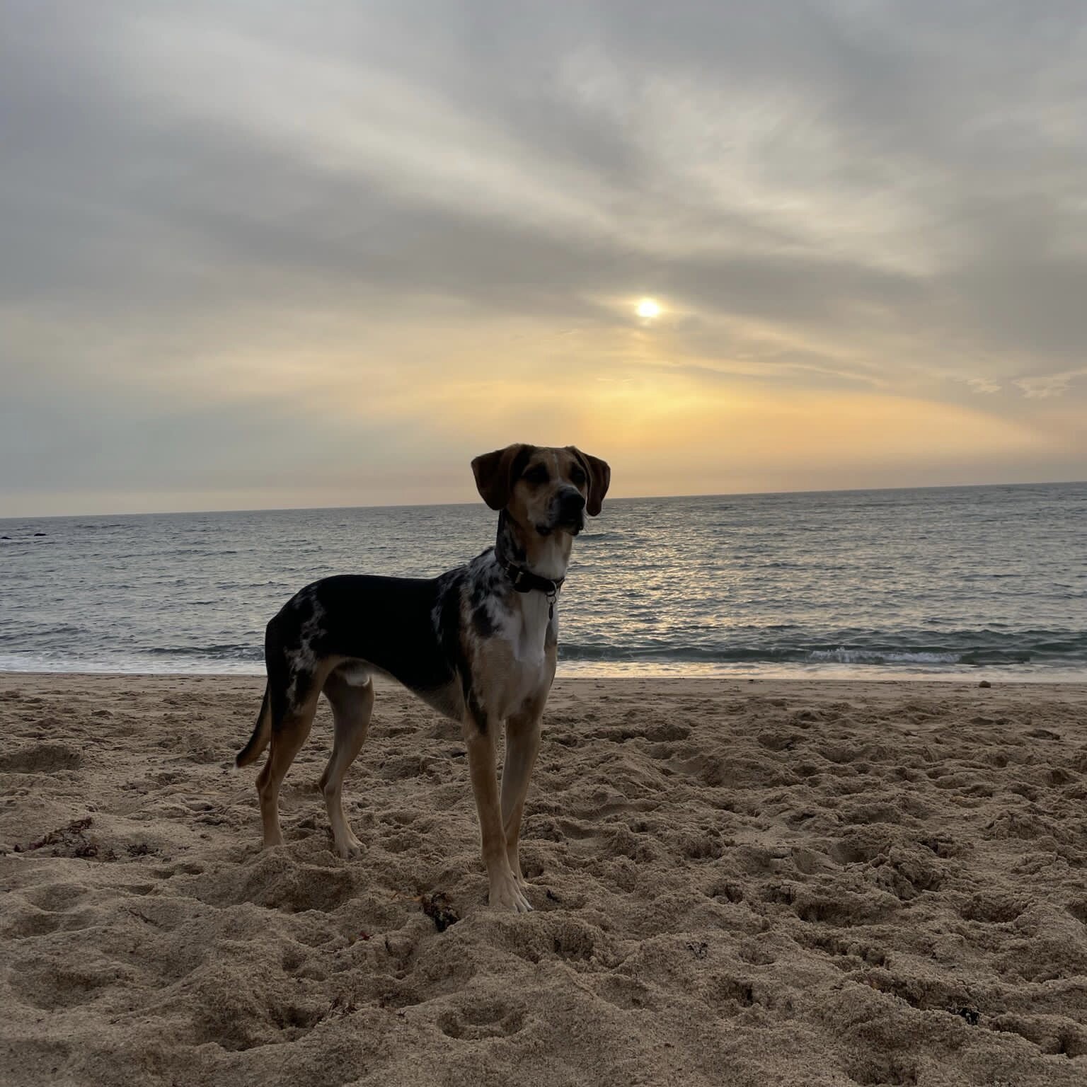 5341D544-716C-4FD6-A335-77CEE62ED3E9