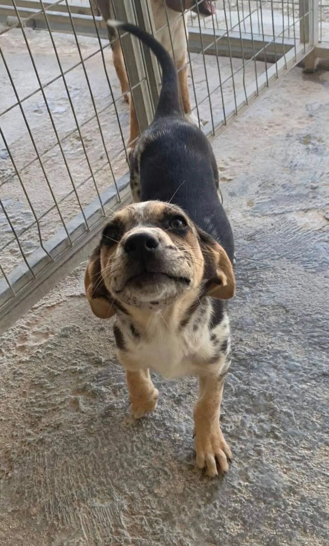 7FF00EB3-3DF9-4F05-9E5C-5499F95F8F20