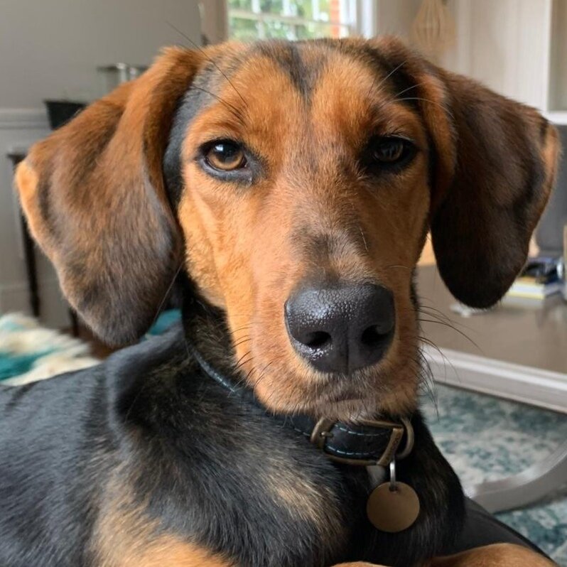 6CF69659-C697-483C-83EA-46DB64C38635