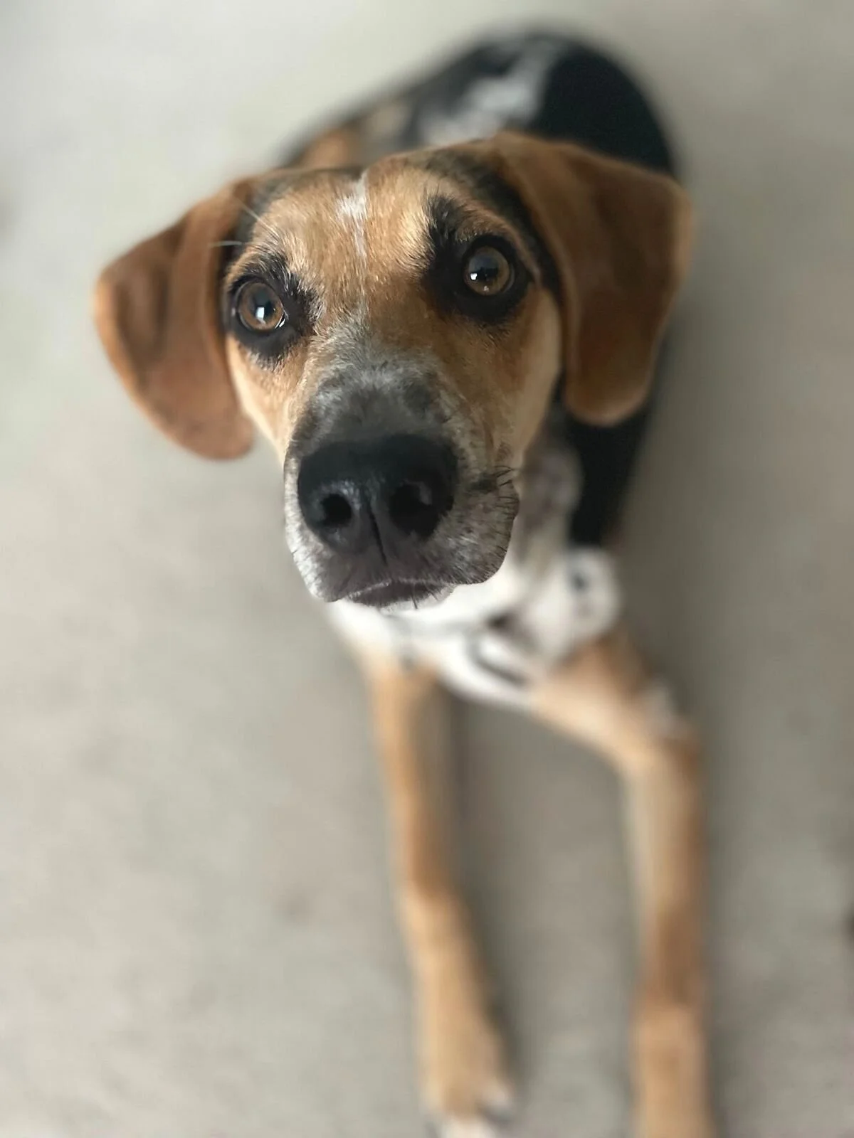 031DF549-B674-4DAB-A7ED-9CA61B9A6C09