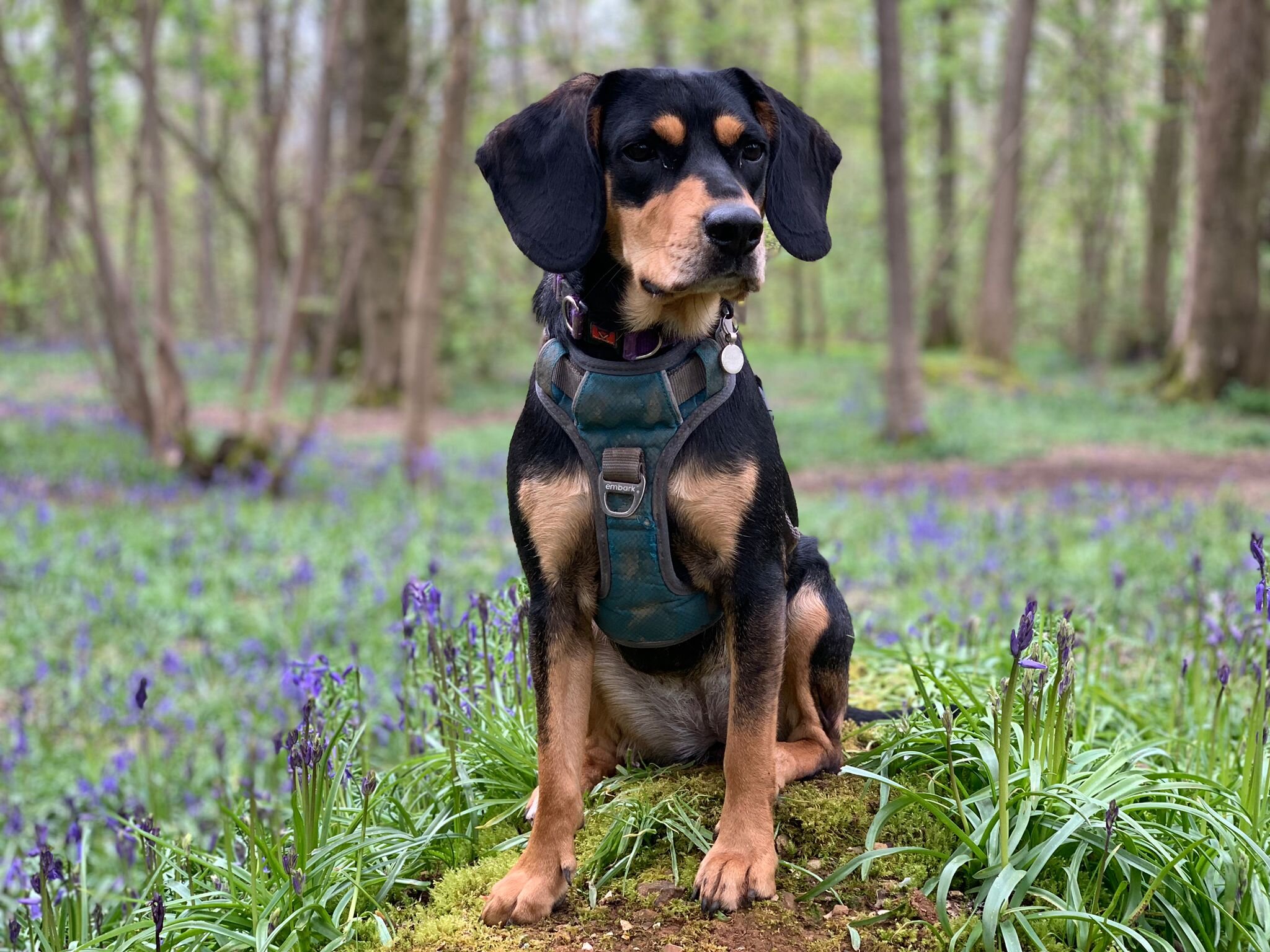 8B00F1FF-9F98-4D69-845F-7E08CC86F74B