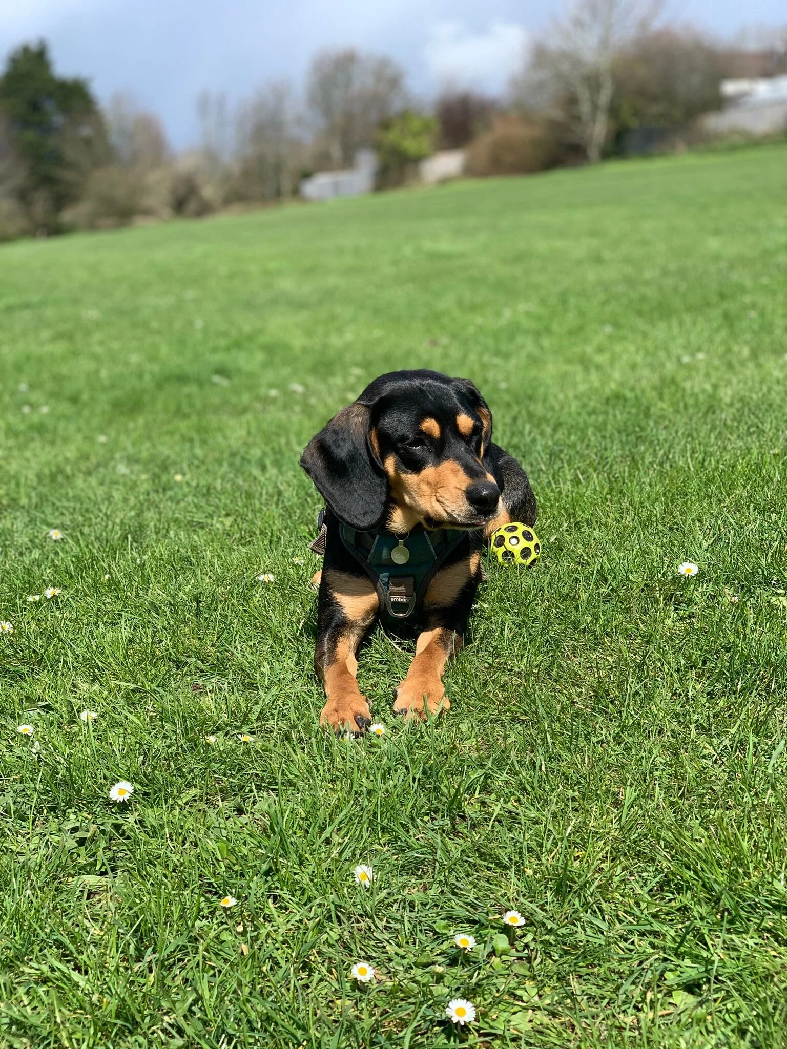 5F7C7FD0-7C01-43E7-8C11-BD120BCFA4C4