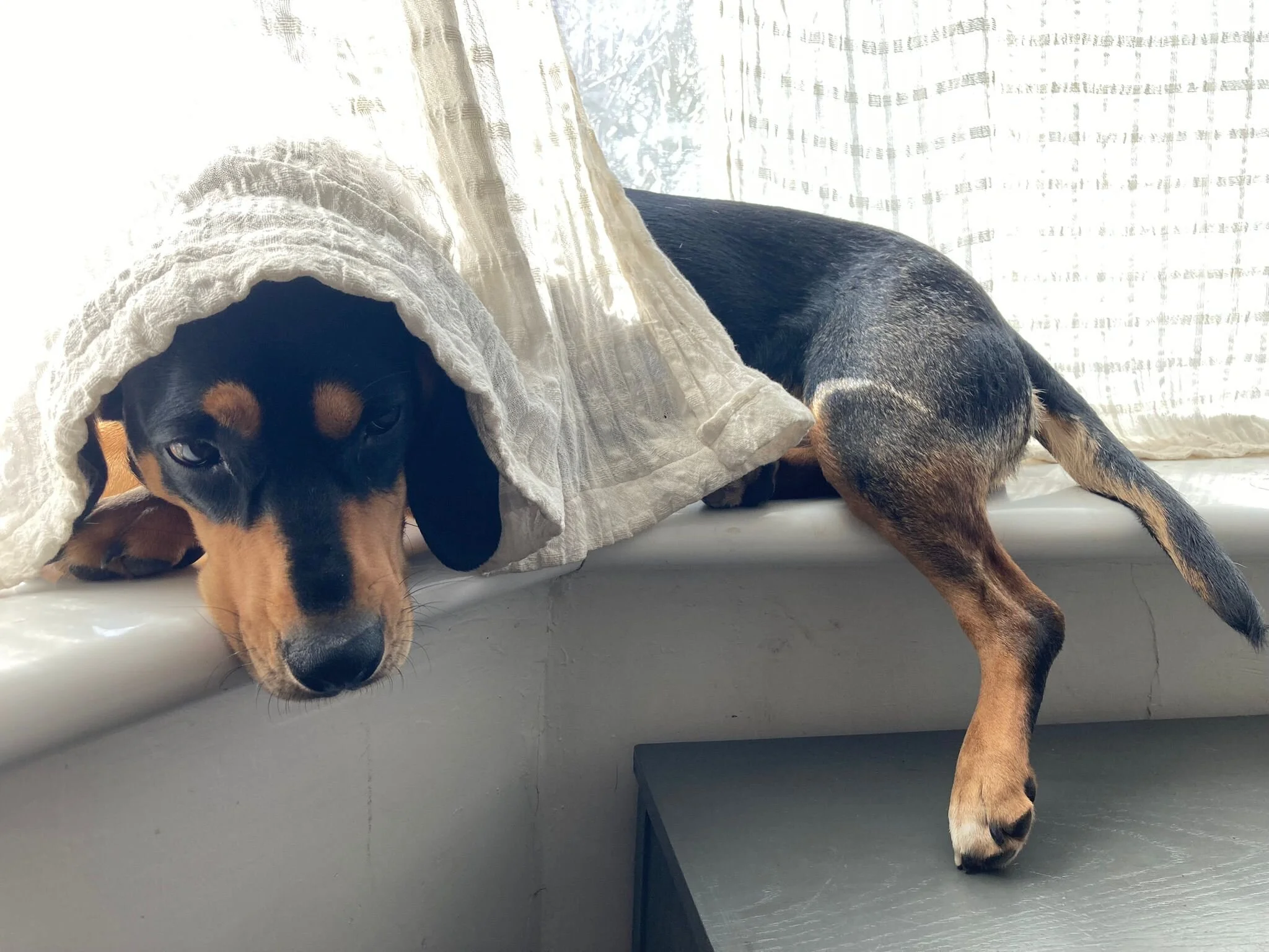 64B20C7C-50B8-4B1B-BE09-05C20083521A