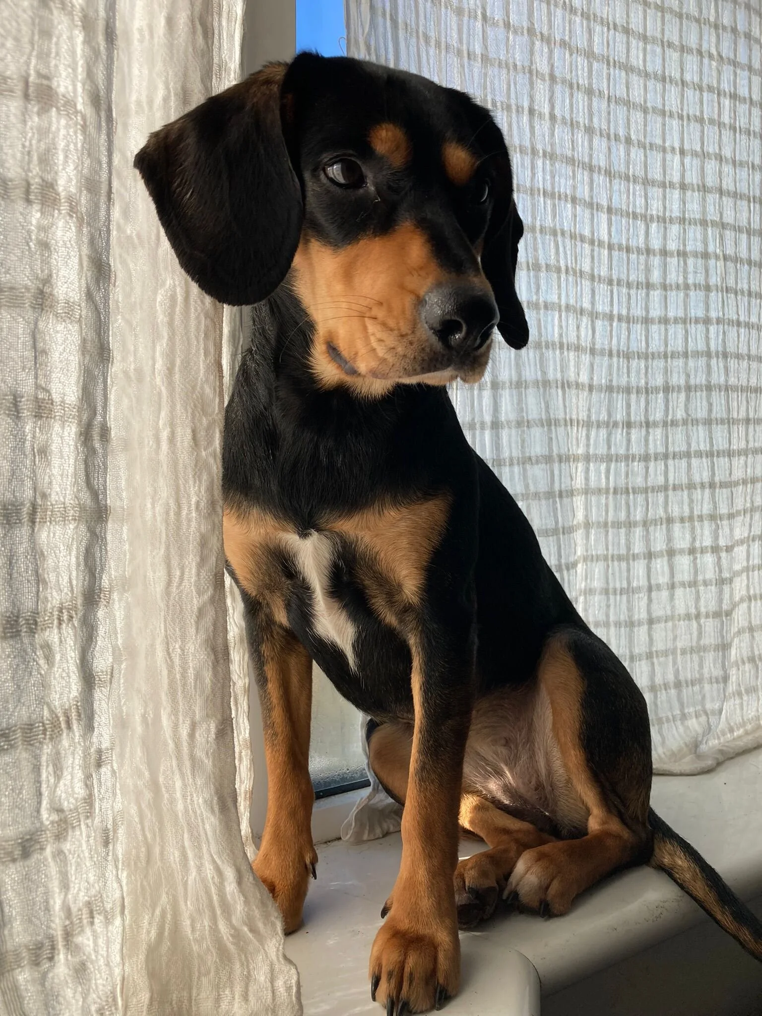 B5E9F17A-B4C2-4964-A69D-42932CADC66F