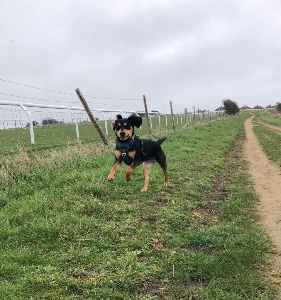 B7DC5D00-DE30-4CE6-A4FA-6ADBDFF3F2ED