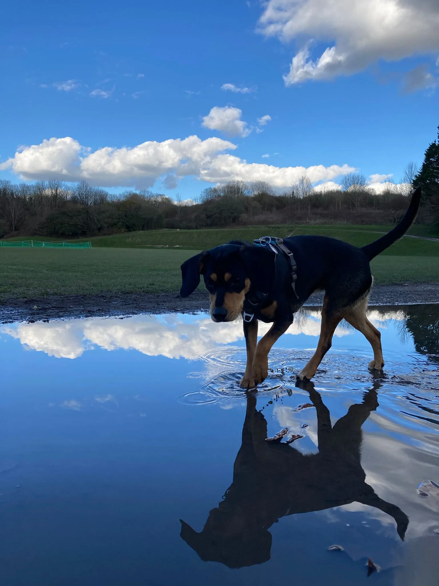 10BBFC0C-5464-4738-8F9E-F01F65BA4D69