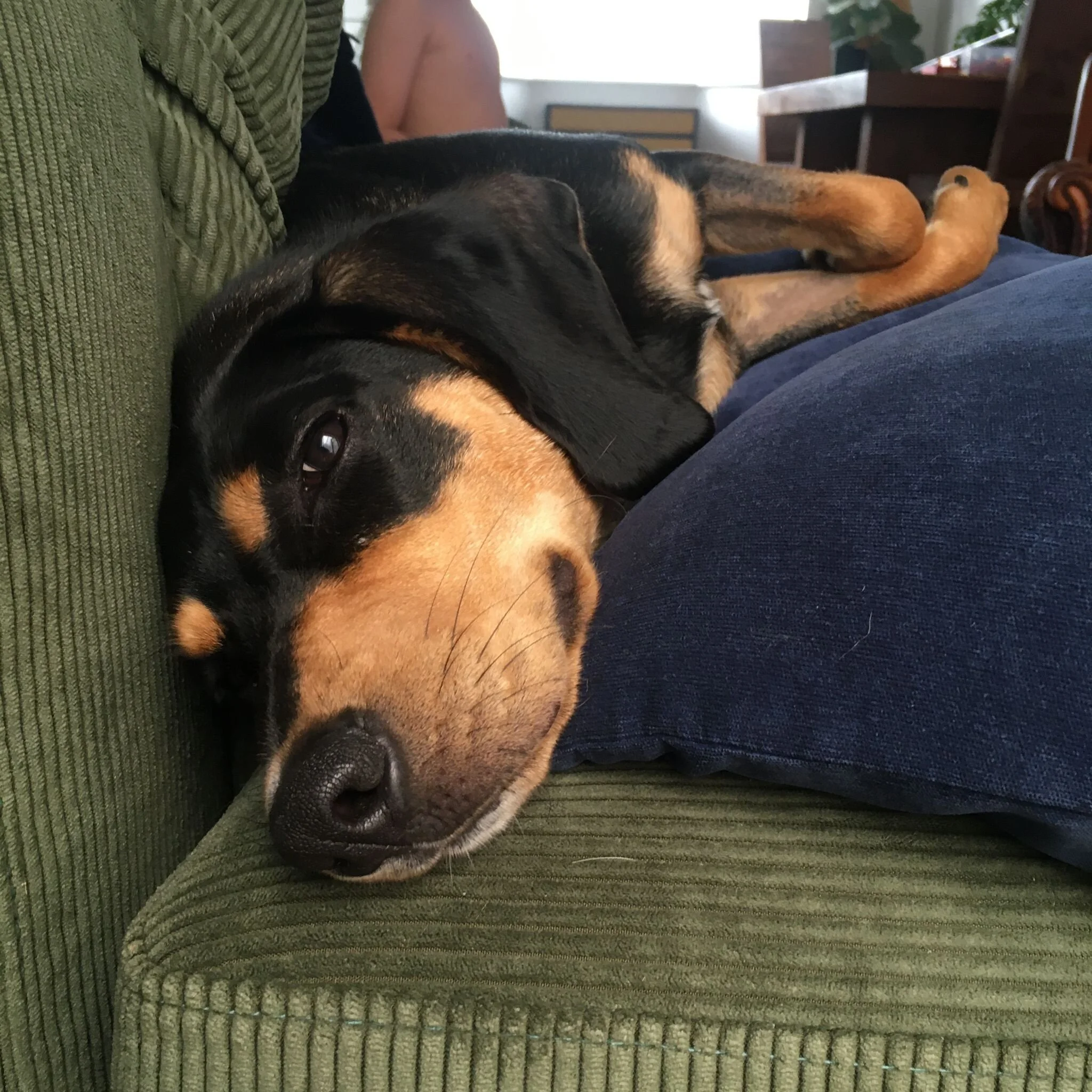 4E7BAF22-0E9C-40EB-BA0C-0C2B18C76329