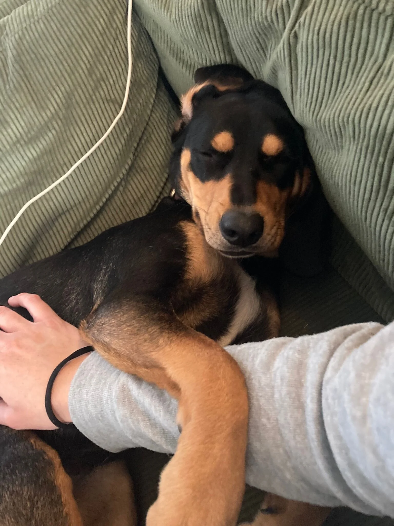 E7E6A000-6600-4211-BD32-3EC3CB73D479