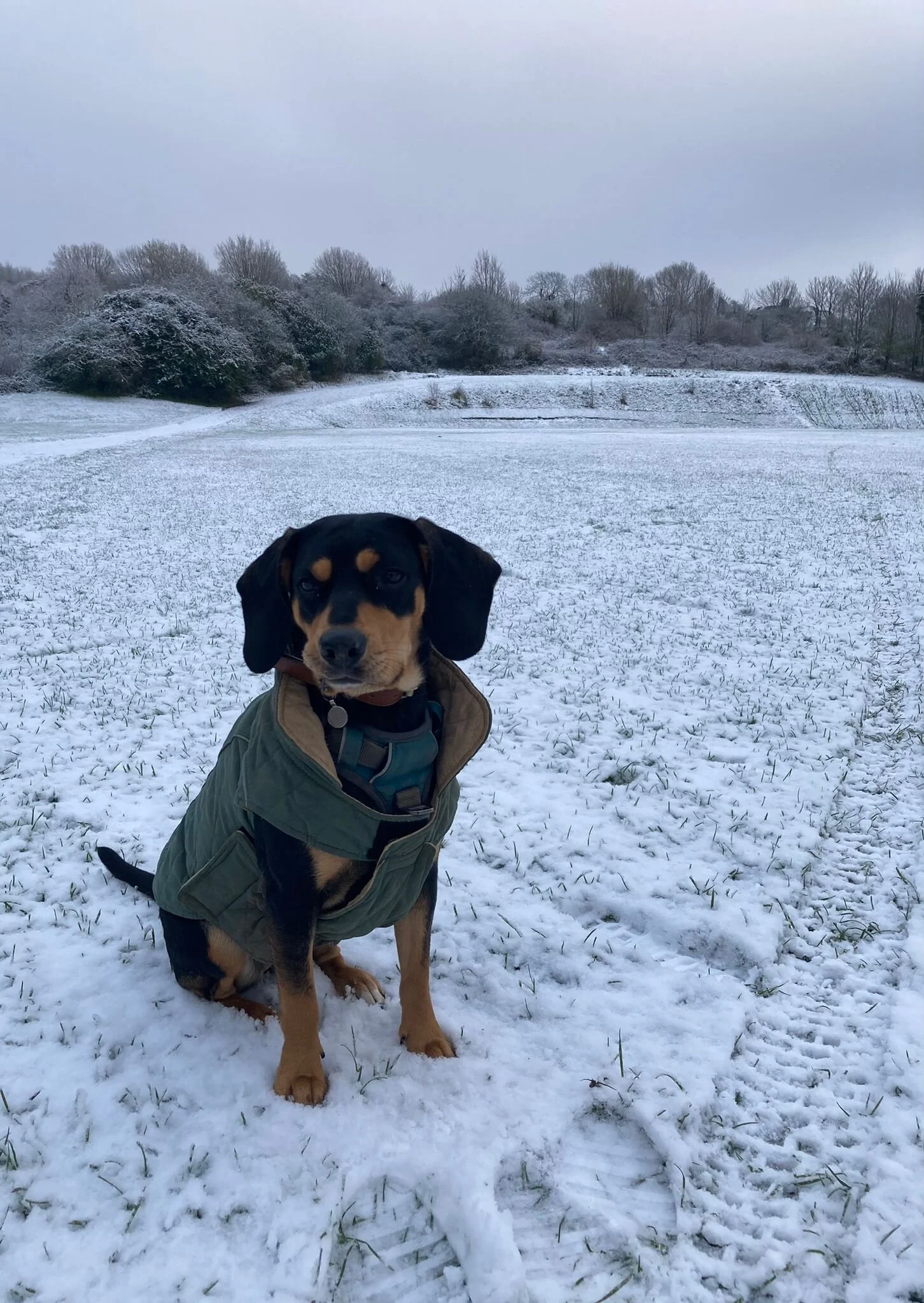 83D458C5-3DBB-4B33-B07E-0D8DAFCCD0D3