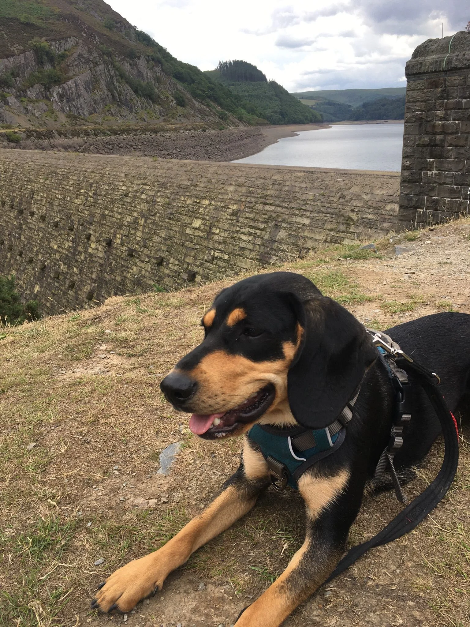 3309E0AB-A086-4A31-BBBE-72445388AC8B