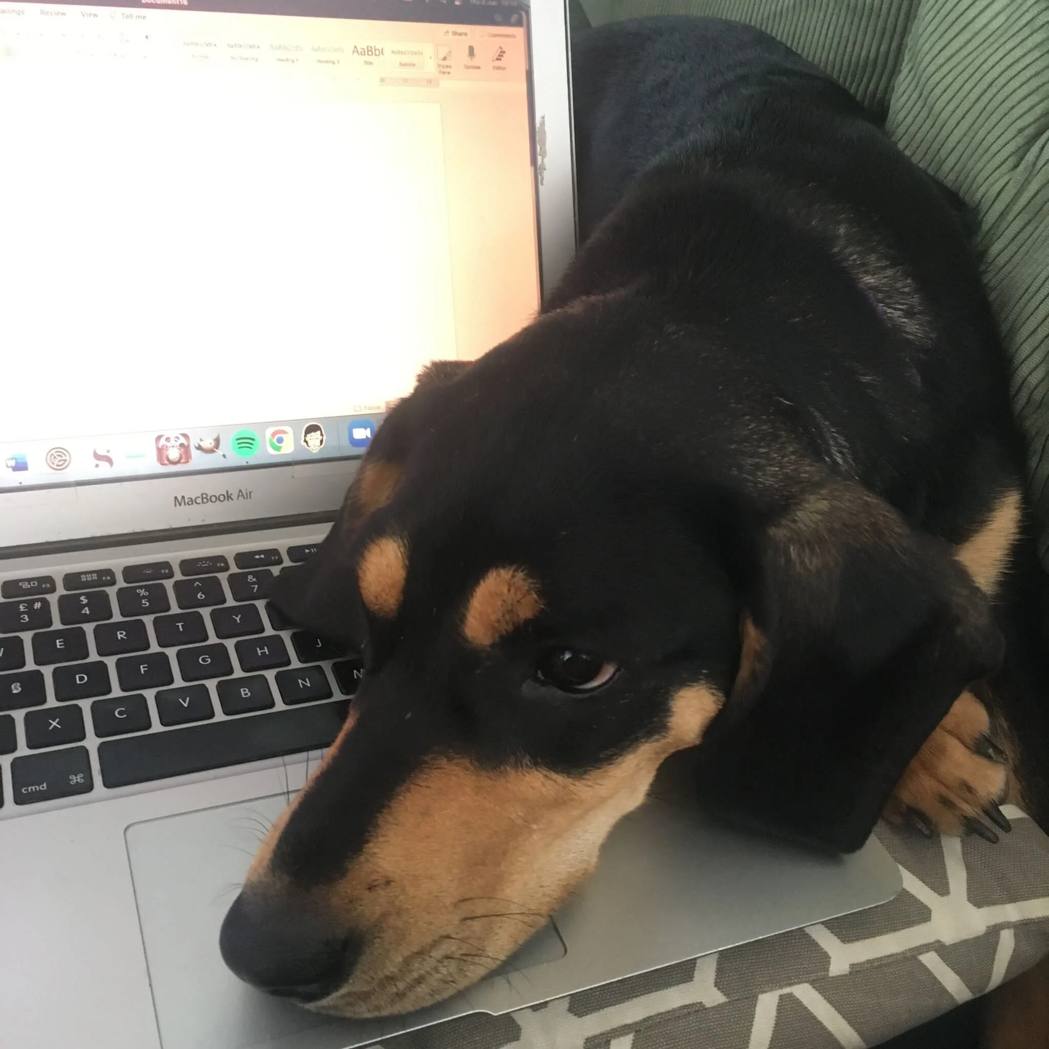 563539AB-AD20-4D59-A9FC-AA0CCB2D5A15