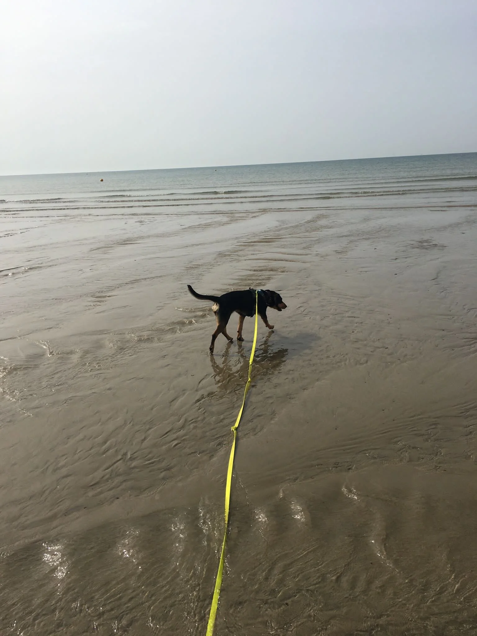 B2F03C74-52FB-4848-98D9-0D3A2A3E685B