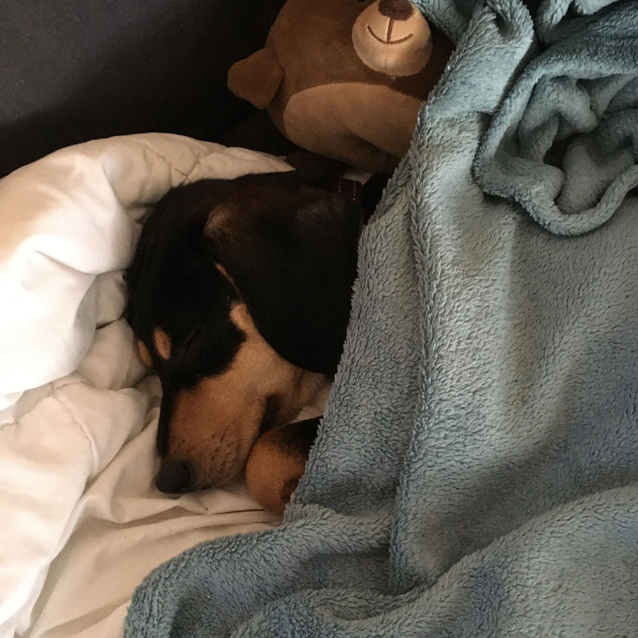 8E617DFF-9313-452C-89E1-D15033F7C5E3