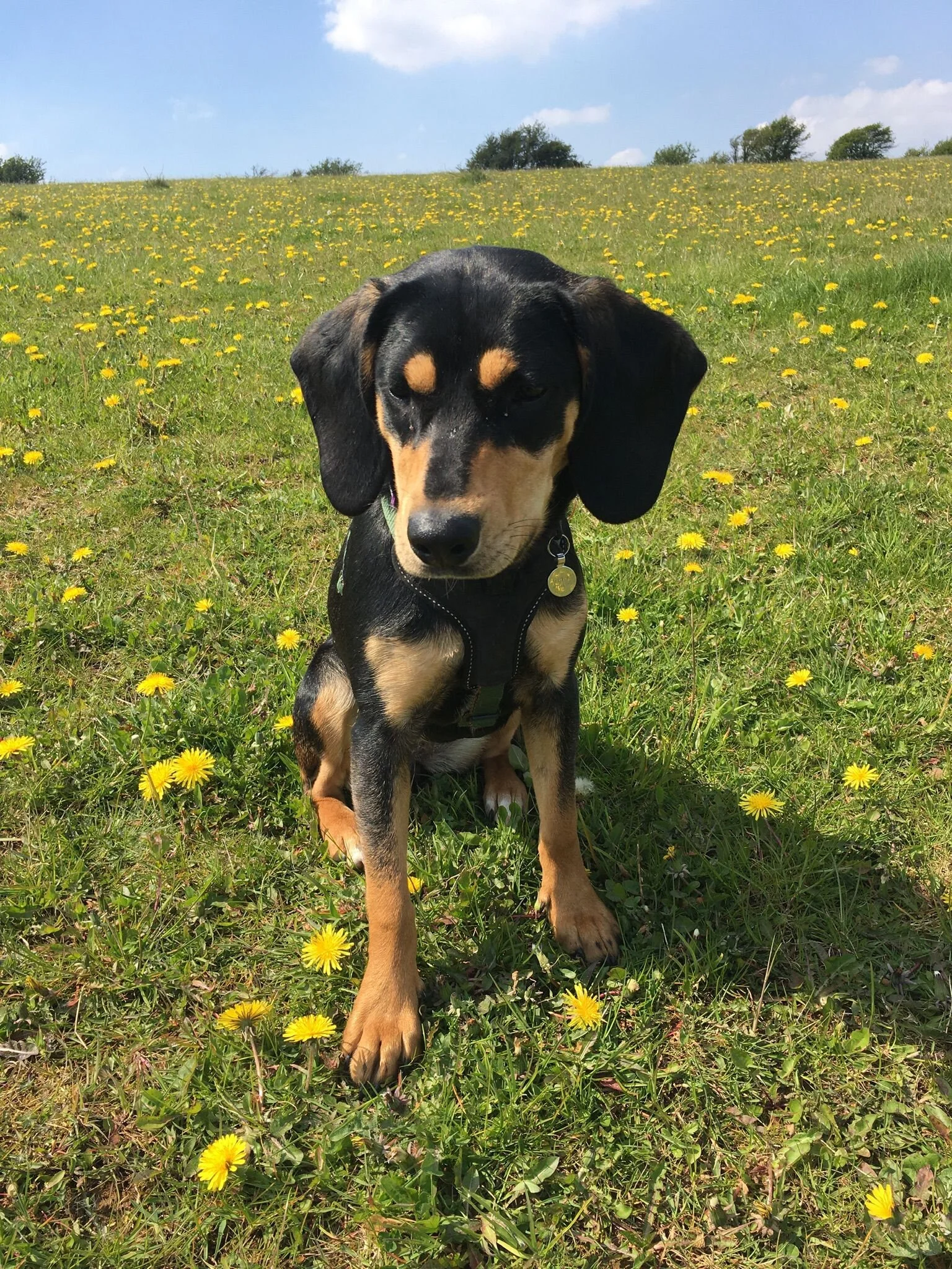 3D774C78-2EDA-4F47-9FF2-578FF3362B14