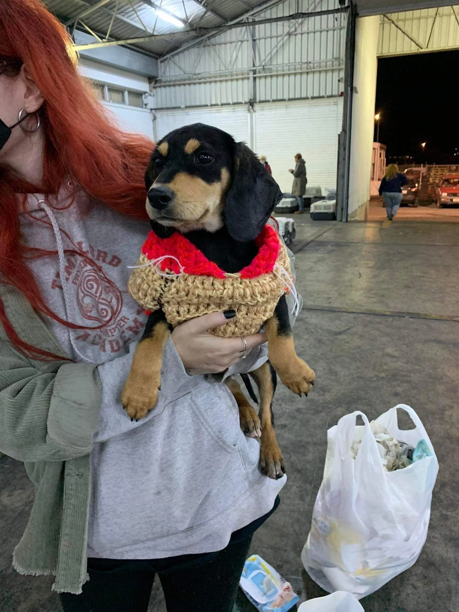 69C7FF04-E55D-4B0B-8863-4C85BAF02EA1