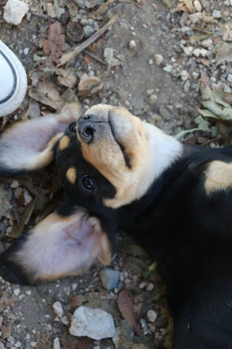 3A2CD949-6702-4572-97D4-D442A12F07B8