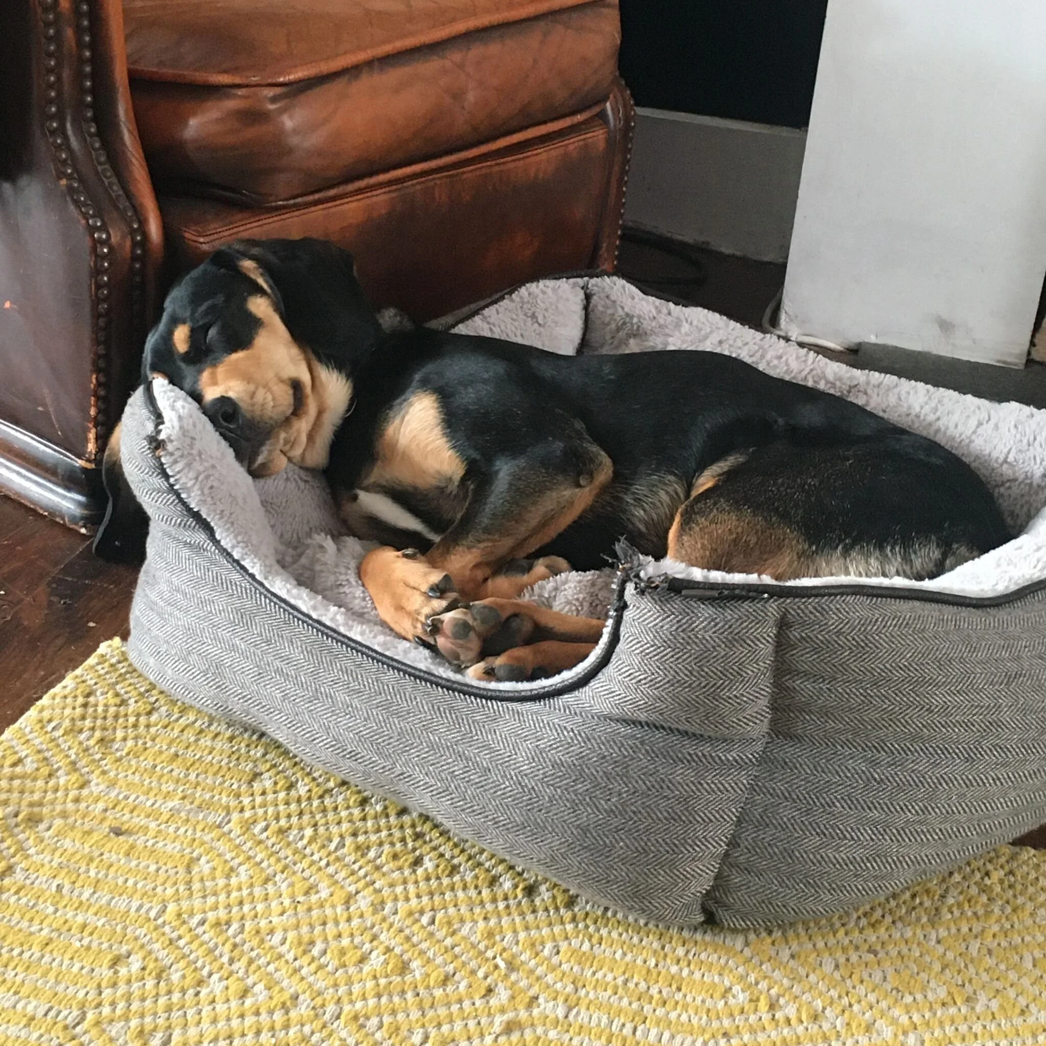 6F110124-9042-41F3-AB72-D15196697CC9