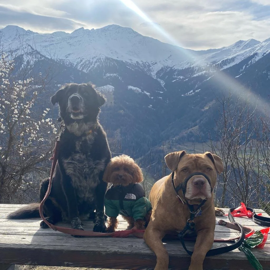 A17CFDE6-3B1F-4848-87C5-19B54F7C1D4D