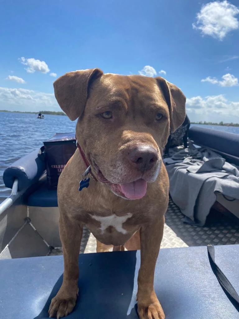 B62AB65C-88C8-4DDF-B895-9D478C557859