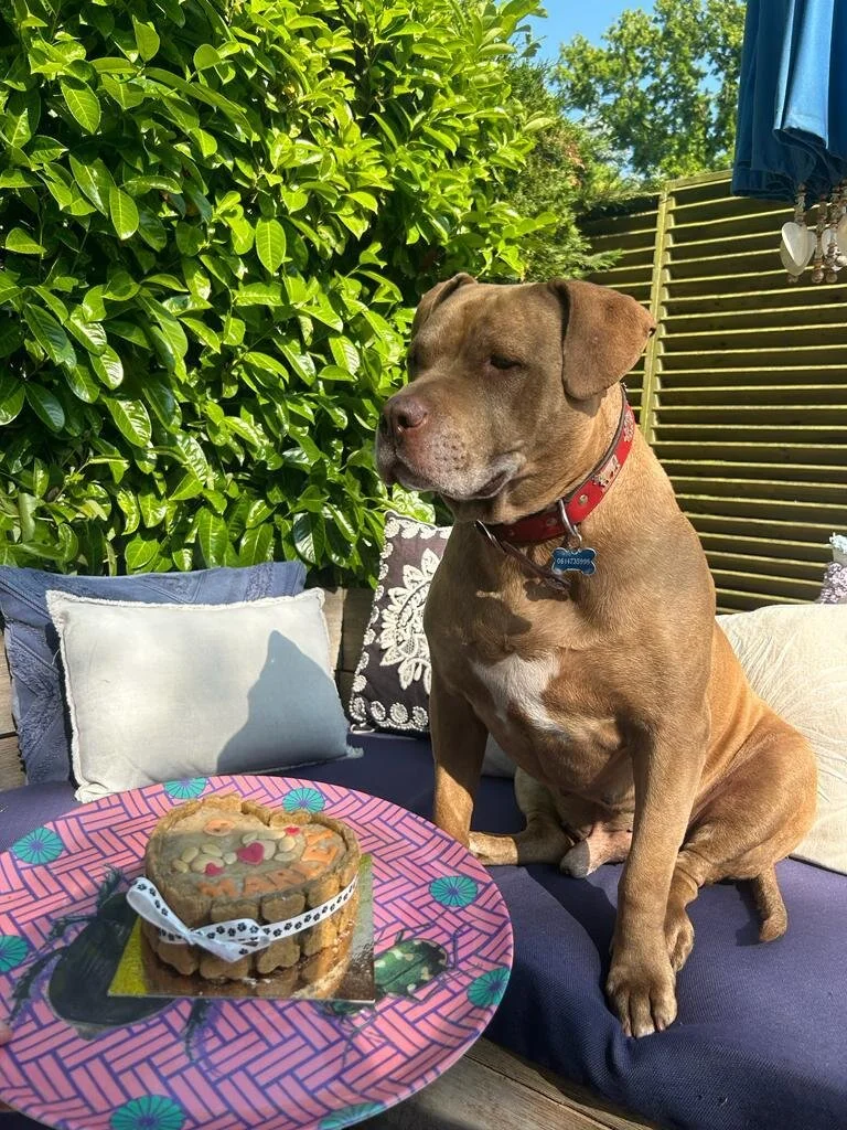 36EBF92D-45B5-4A0A-B695-01FB785C3C0B