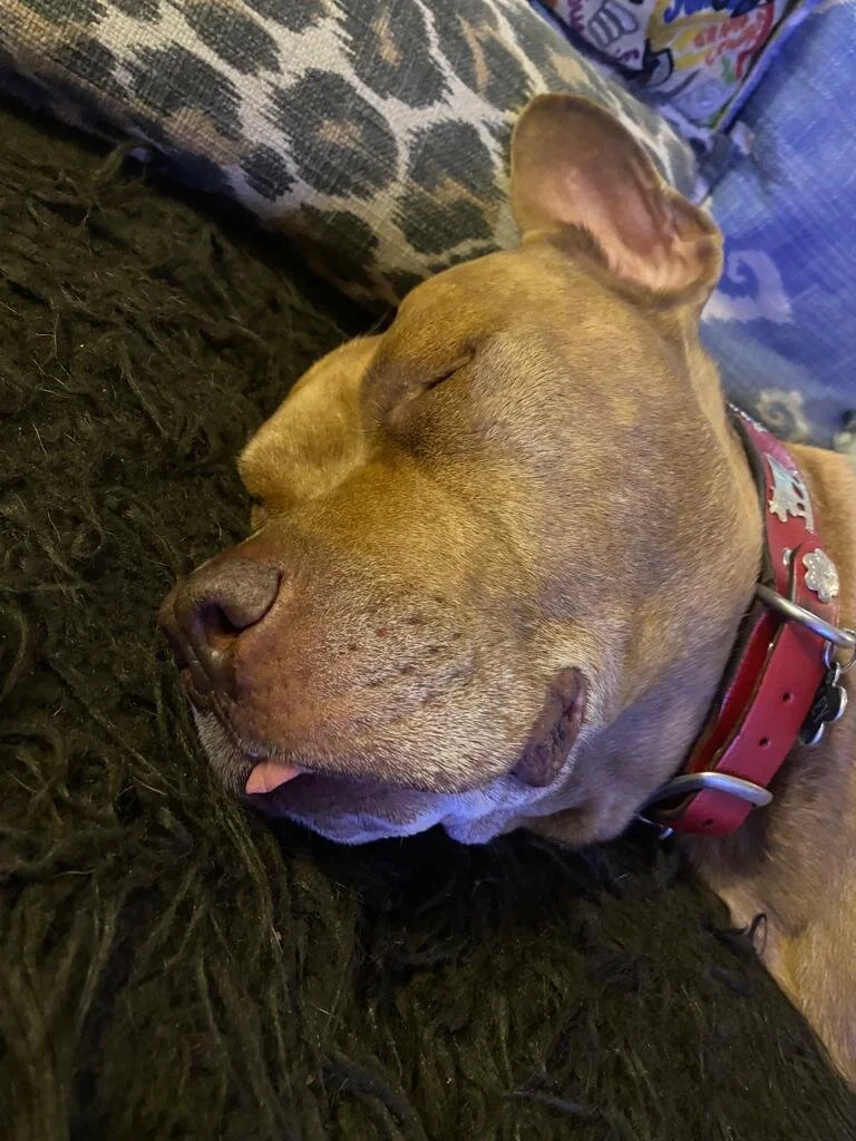 35CC2033-4FD9-46D6-BCB2-2B62B140D1C8