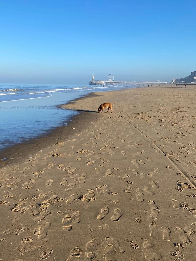 205F3522-4FF0-499C-80D0-9DE0C8318440