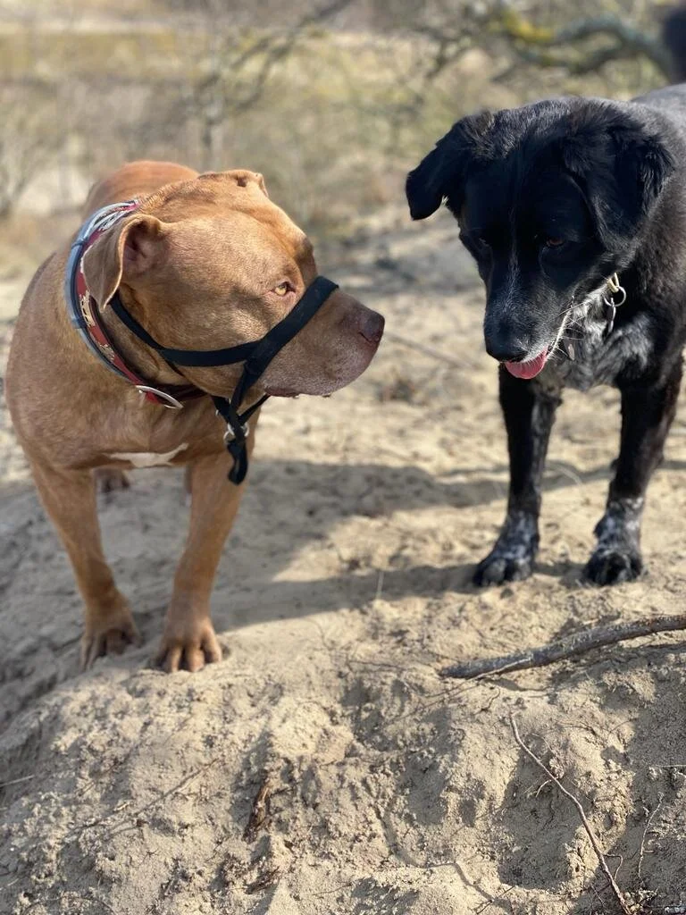 DFFB105B-4AA0-4192-9C74-A990643AE19D